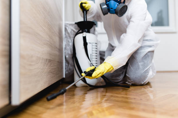 Best Pest Prevention Services  in Springhill, LA