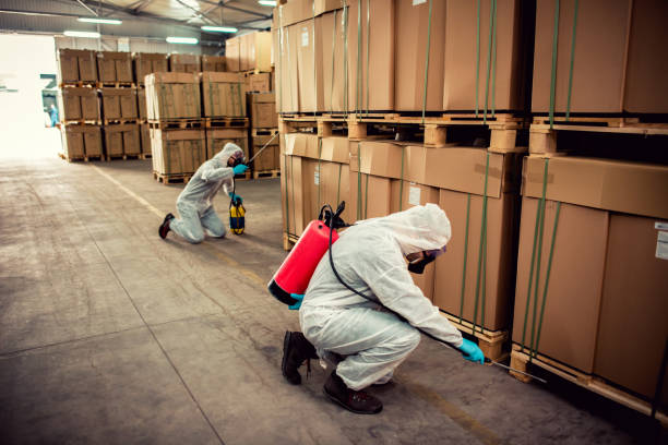 Best Mosquito Control Services  in Springhill, LA