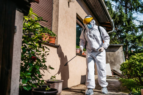 Best Pest Removal Services  in Springhill, LA