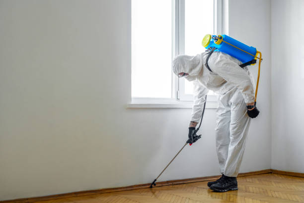 Pest Control Cost in Springhill, LA