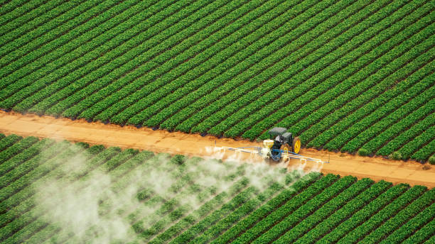 Best Mosquito Control Services  in Springhill, LA