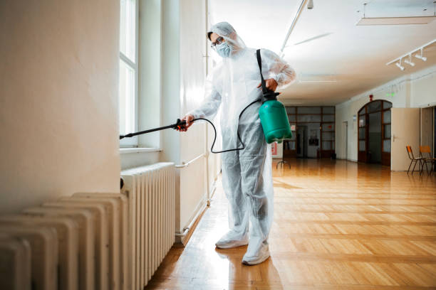 Best Bed Bug Extermination  in Springhill, LA